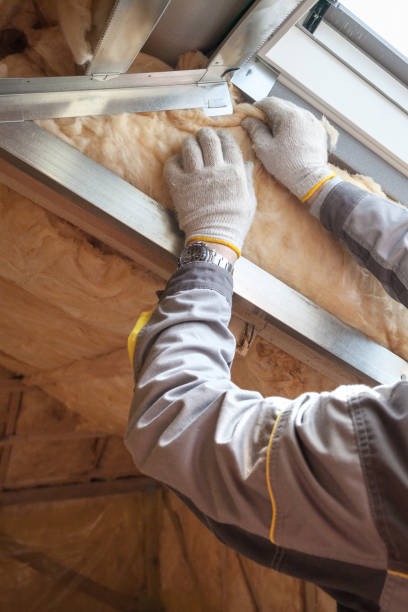 Best Blown-in Insulation in Ensley, FL