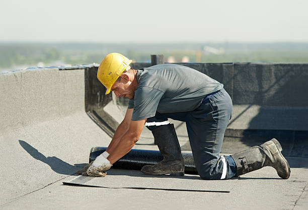 Best Cellulose Insulation in Ensley, FL