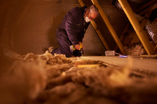 Best Residential Insulation in Ensley, FL